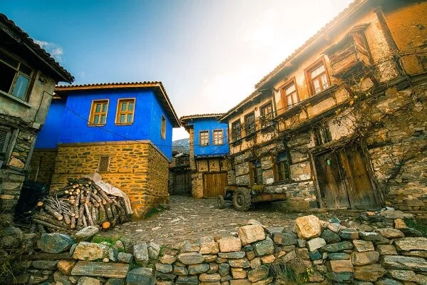 73ee3b15-ed08-486b-9b58-2b8e7e50853e-600